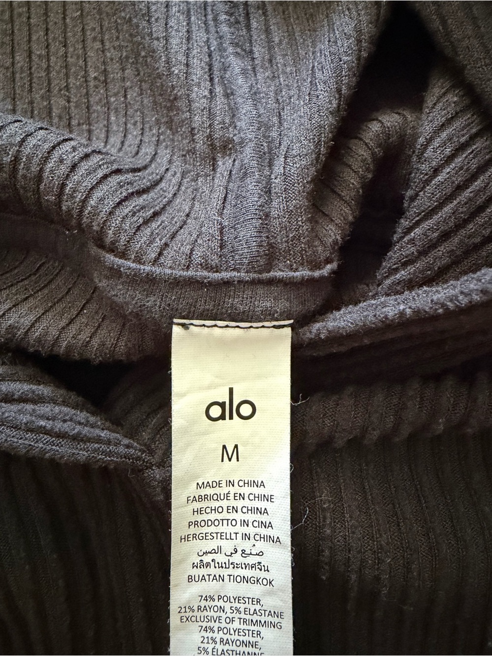 Alo Muse Hoodie - Picture 2 of 5